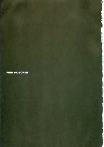 [Ichie Ryouko] PINK PRISONER Fhentai - Page 2