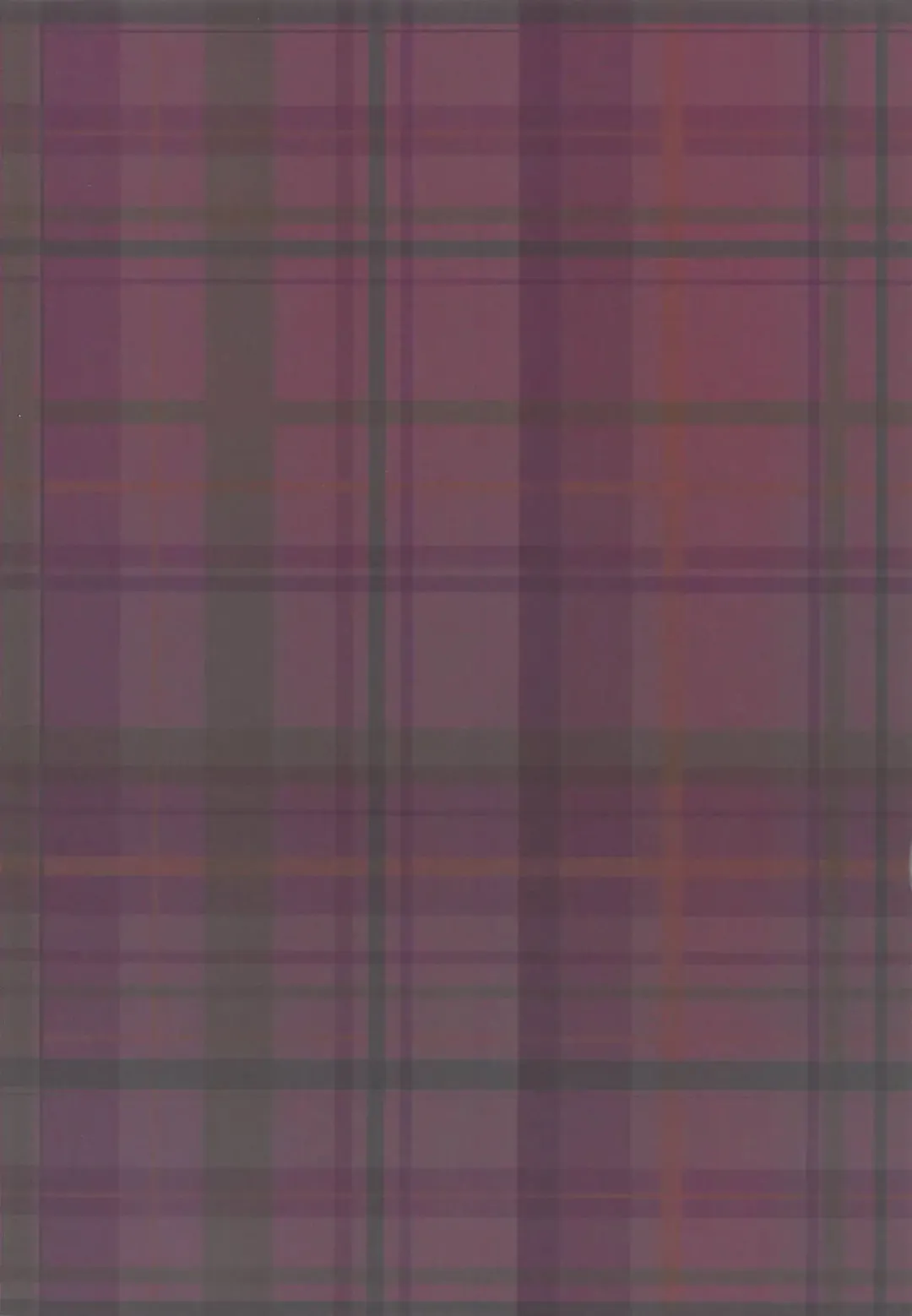 [Moyasibasto] Hamedori Hajimatta yo? Youmu-chan Fhentai - Page 18