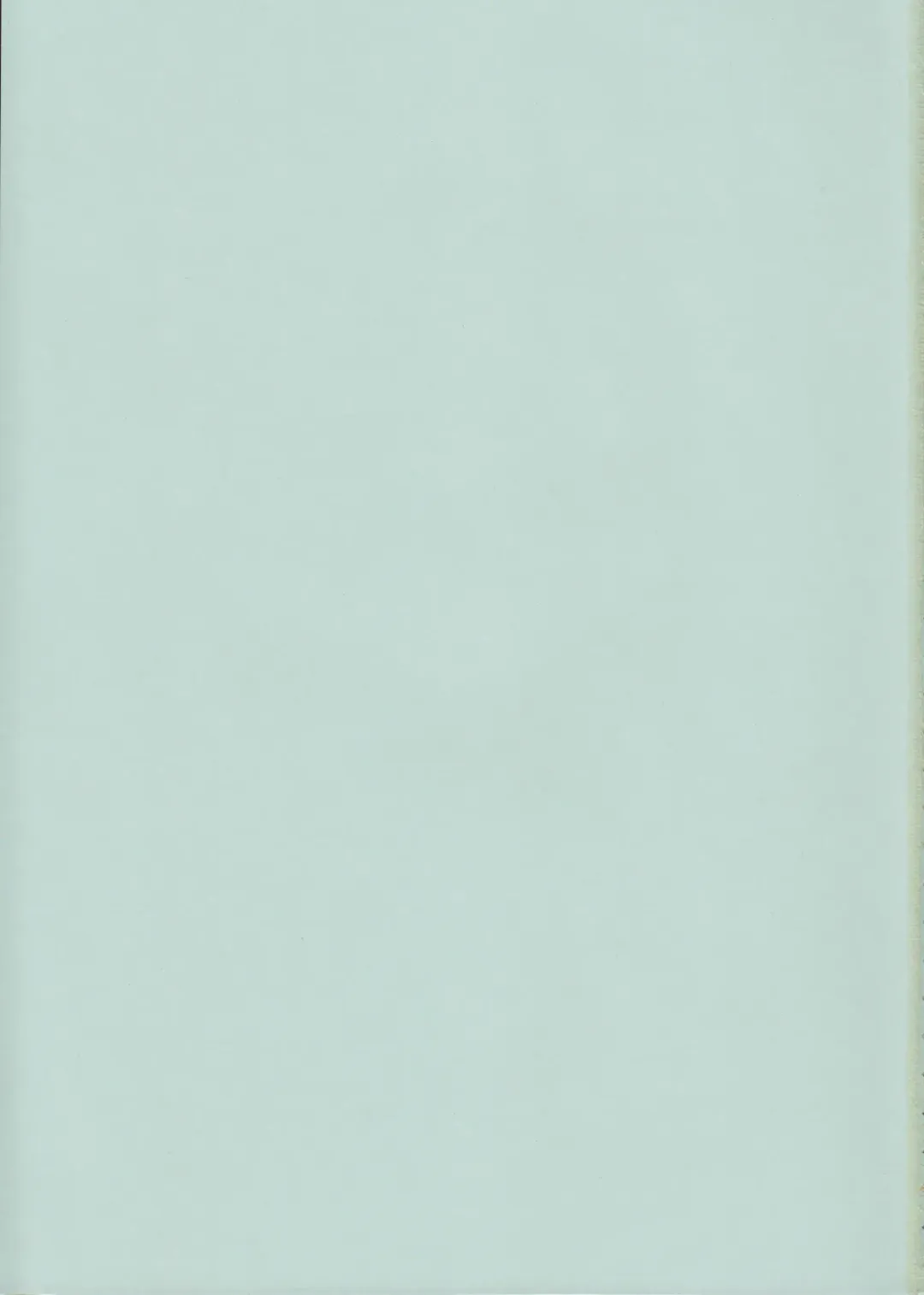 [Raiden] Peperoncino Fhentai - Page 2