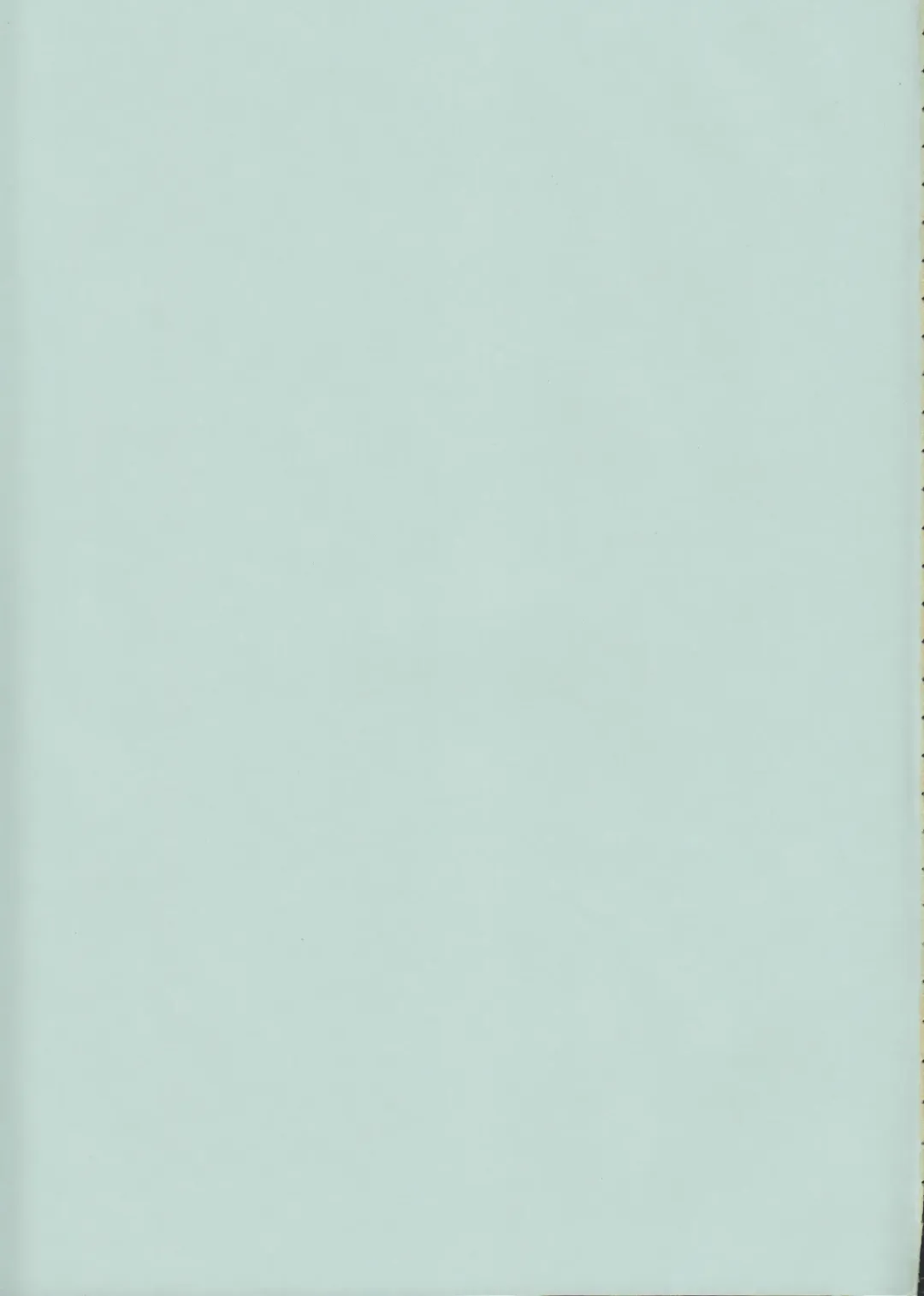 [Raiden] Peperoncino Fhentai - Page 28