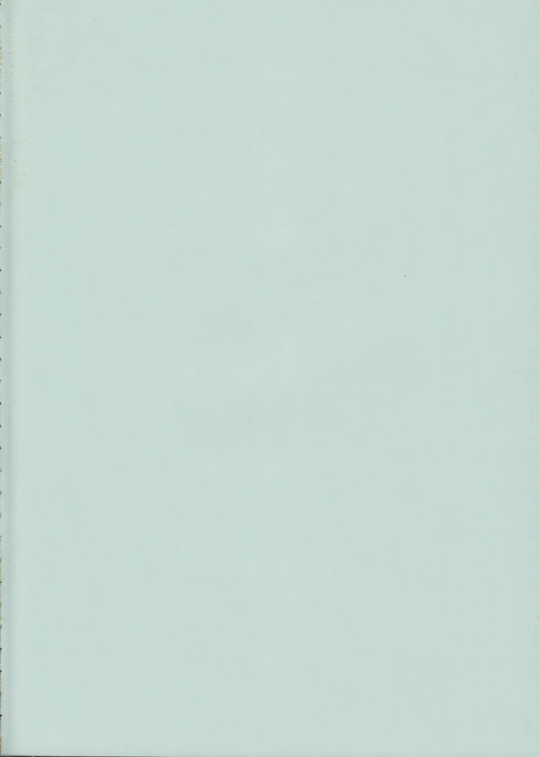 [Raiden] Peperoncino Fhentai - Page 3