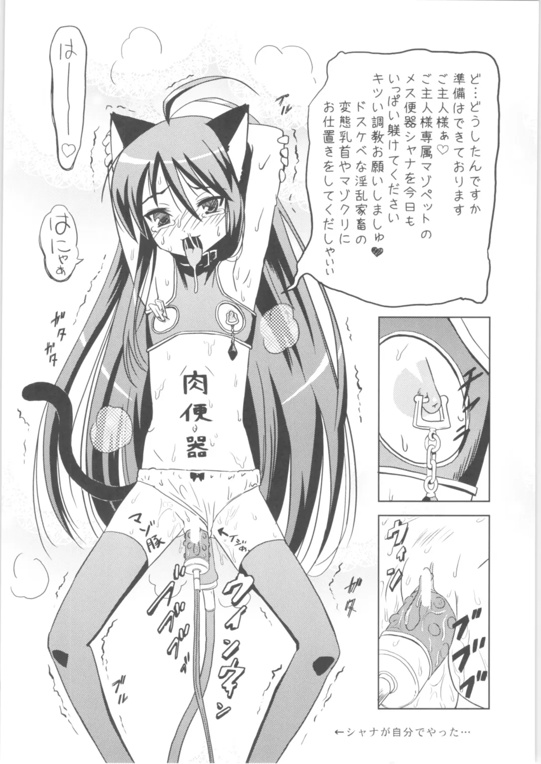 [Nekomimi Kanon] Hakugan @ Shana Fhentai - Page 23