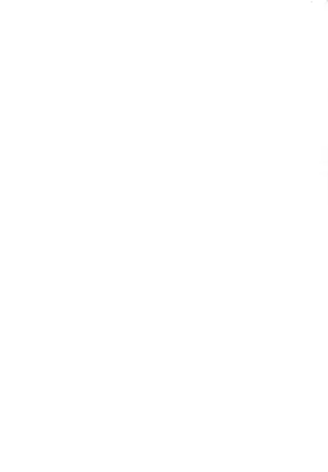 [Shimaji] Maid-san ni Natte Ageru Fhentai - Page 19