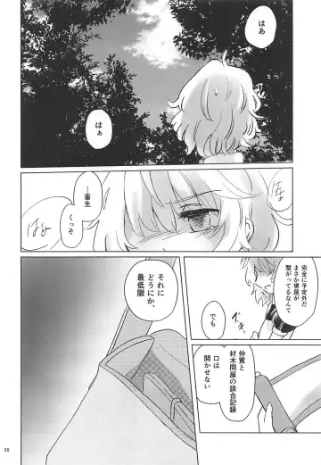 [Toran] Nomahoutsukai no Dorobou Kagyou Fhentai - Page 25