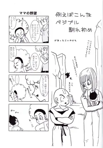 Vegeta and Bulma Love Fhentai - Page 4