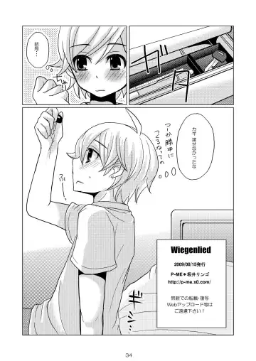 [Sakai Ringo] Wiegenlied Fhentai - Page 33