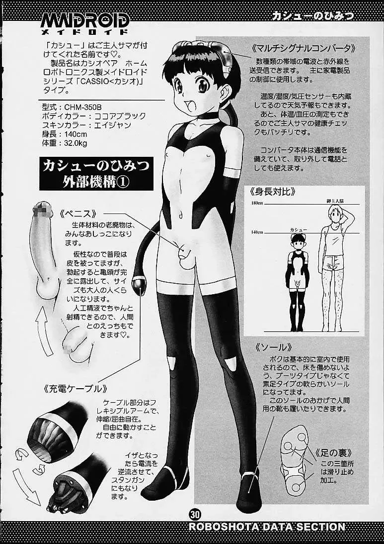 [Po-ju] Maidroid Fhentai - Page 29