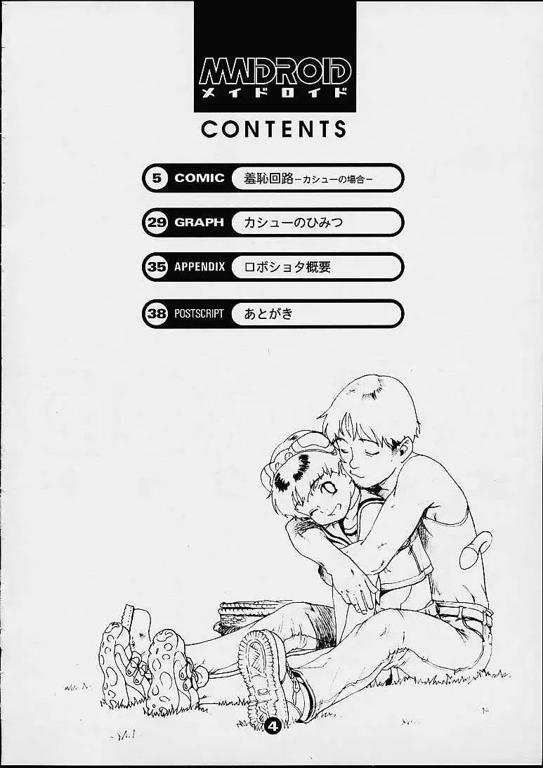 [Po-ju] Maidroid Fhentai - Page 3