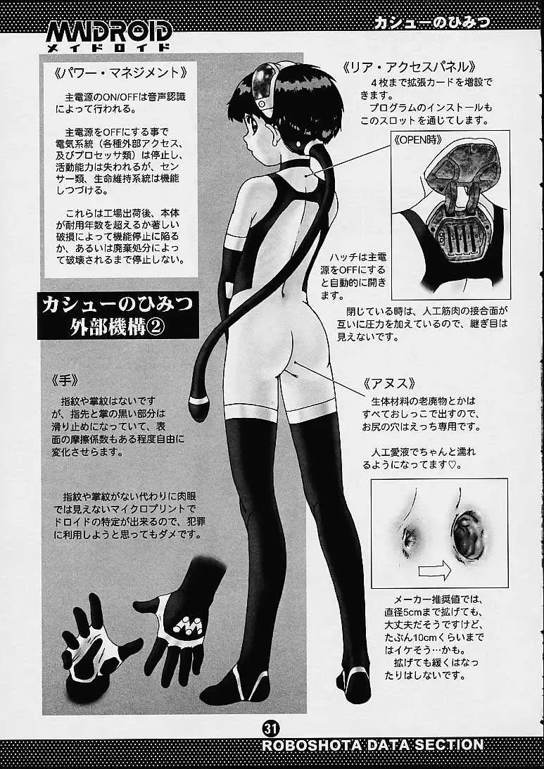 [Po-ju] Maidroid Fhentai - Page 30