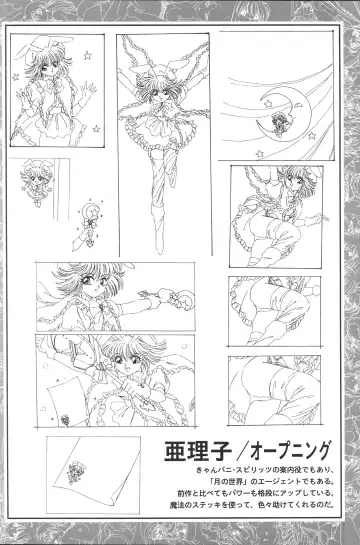 [Shikato Miyo - Shiratori Reiko - Yoshizane Akihiro] CAN CAN BUNNY OFFICIAL ART BOOK Fhentai - Page 30