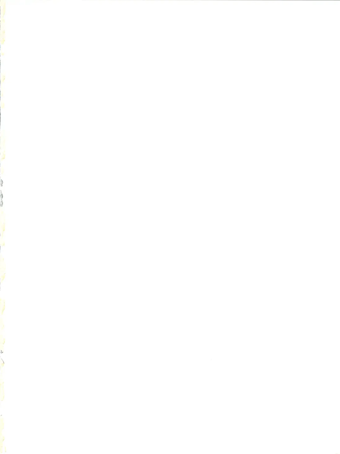 [Toyama Jigoku] Futari no Mahou Fhentai - Page 3