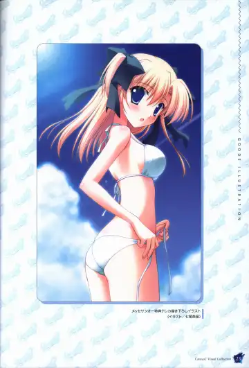 [Nanao Naru] CANVAS2 Collection Art Book Fhentai - Page 26