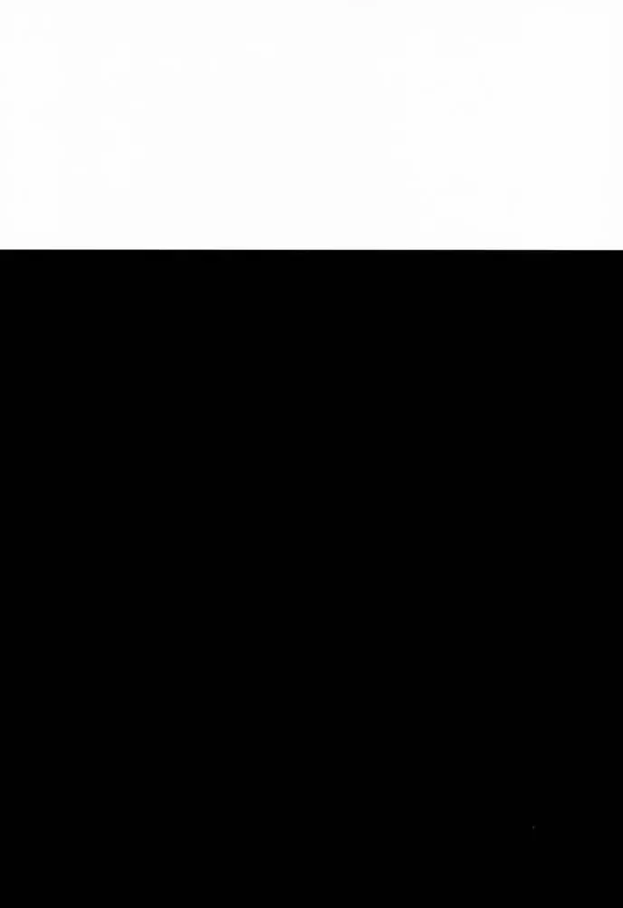 [Nagare Hyo-go] V-Zweit Fhentai - Page 3