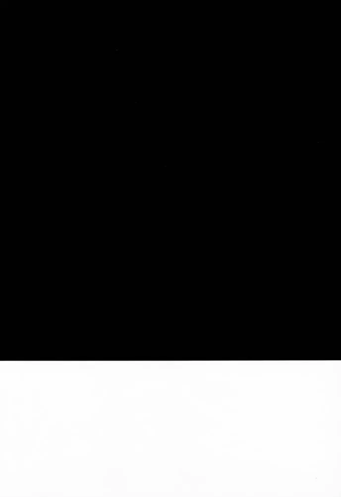 [Nagare Hyo-go] V-Zweit Fhentai - Page 35