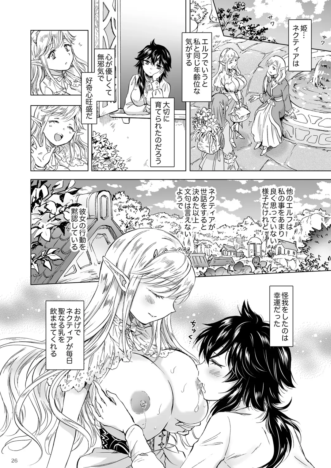 [Mira] Seinaru Chichi no Elf Hime Fhentai - Page 26