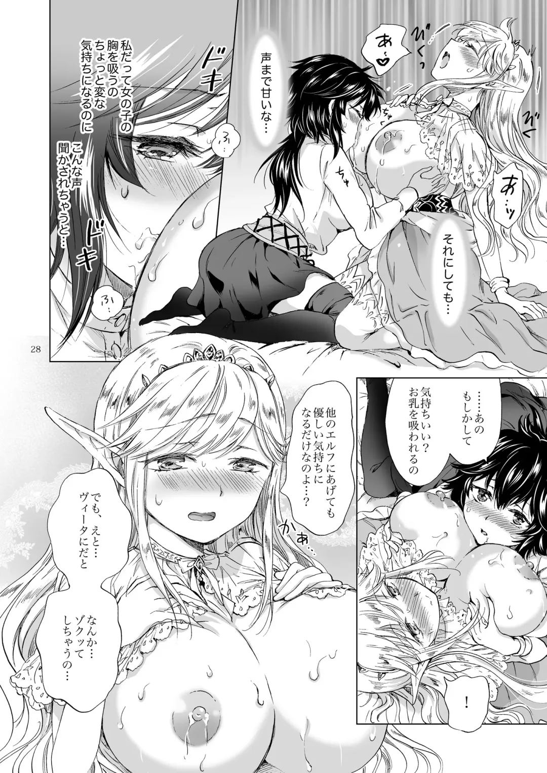 [Mira] Seinaru Chichi no Elf Hime Fhentai - Page 28