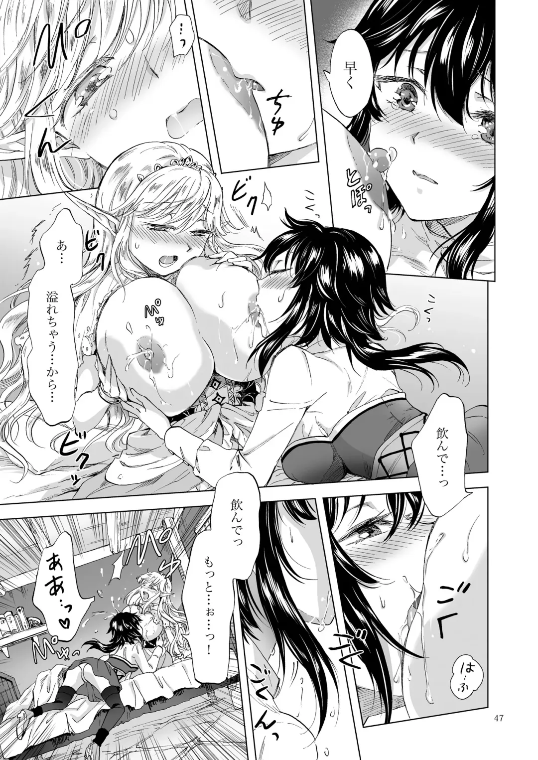 [Mira] Seinaru Chichi no Elf Hime Fhentai - Page 47