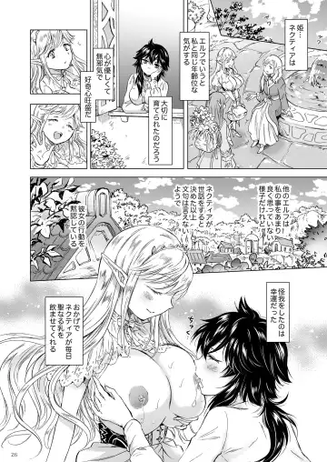 [Mira] Seinaru Chichi no Elf Hime Fhentai - Page 26