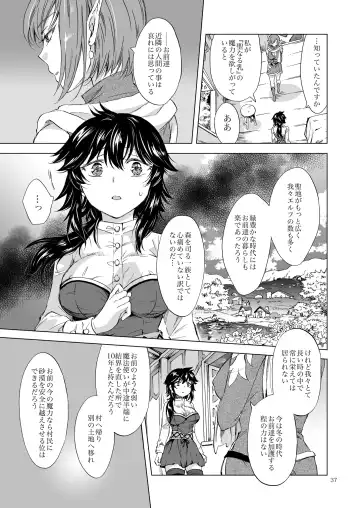 [Mira] Seinaru Chichi no Elf Hime Fhentai - Page 37