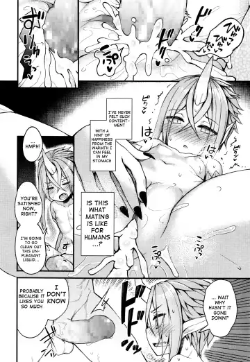 [Binsen] Drachen Geschrei - Dragon's Roar Fhentai - Page 16
