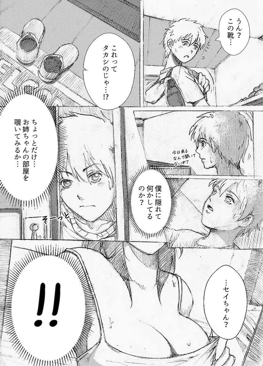 [Rannero] Boku no Onee-chan ga Konna ni Bitch na Hazu ga Nai Fhentai - Page 3