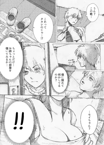 [Rannero] Boku no Onee-chan ga Konna ni Bitch na Hazu ga Nai Fhentai - Page 3