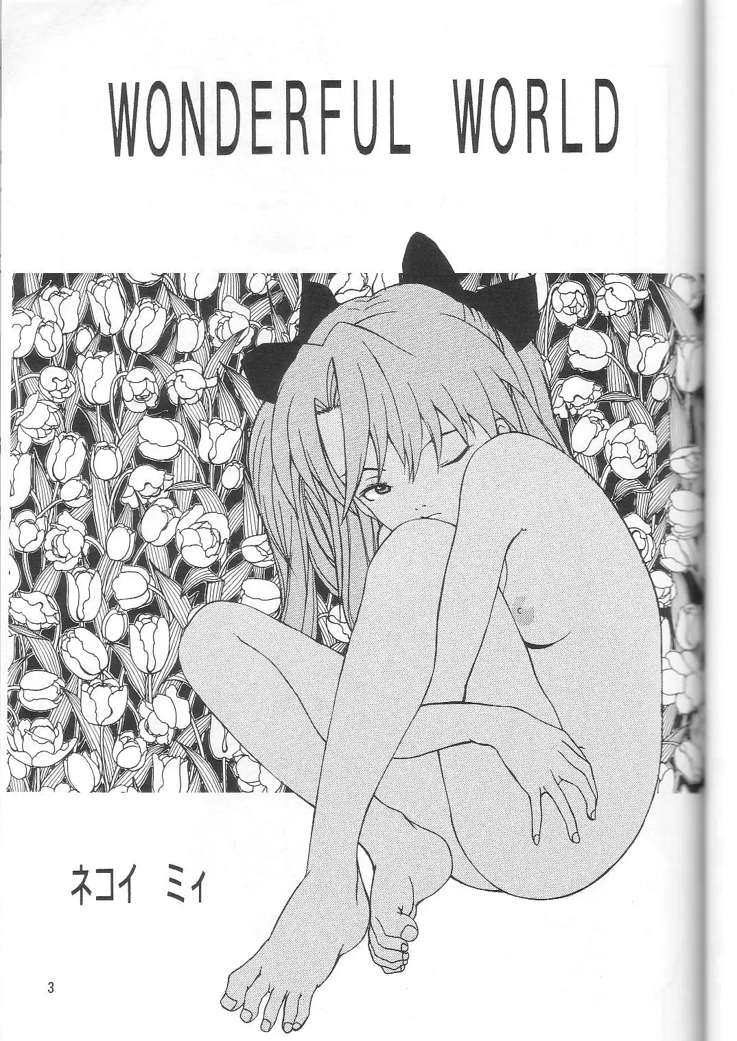 [Nekoi Mie] Wonderful World Fhentai - Page 2