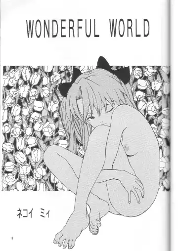 [Nekoi Mie] Wonderful World Fhentai - Page 2
