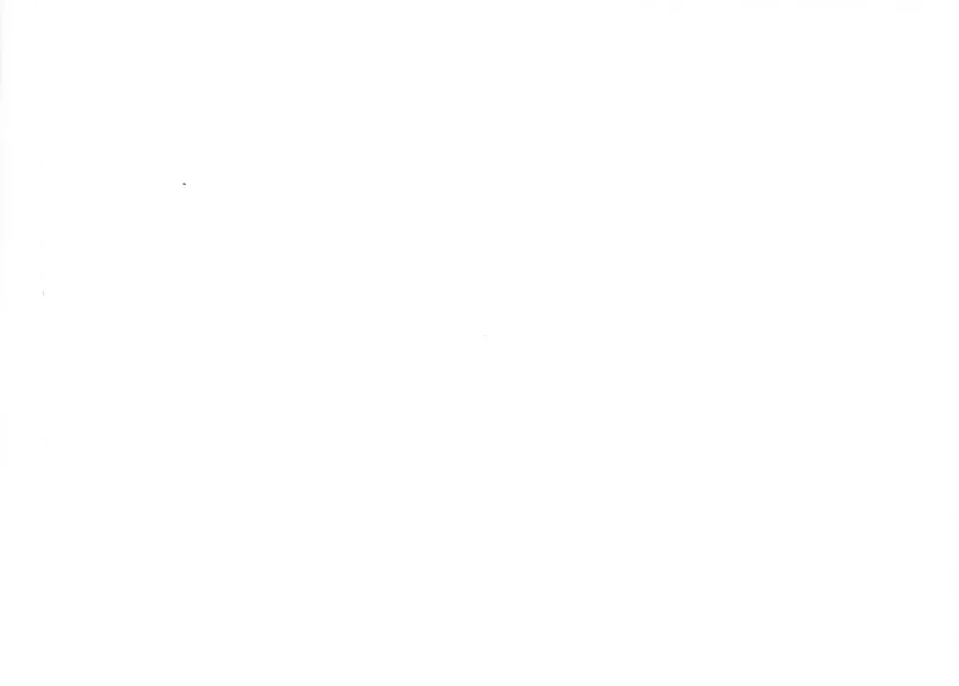 [Ke-ta] Pink Cocktail Fhentai - Page 2