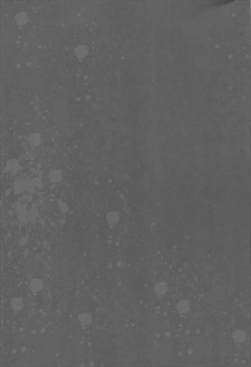 [Tanaka Decilitre] Waffle Doumeiken SAO Soushuuhen red Fhentai - Page 48