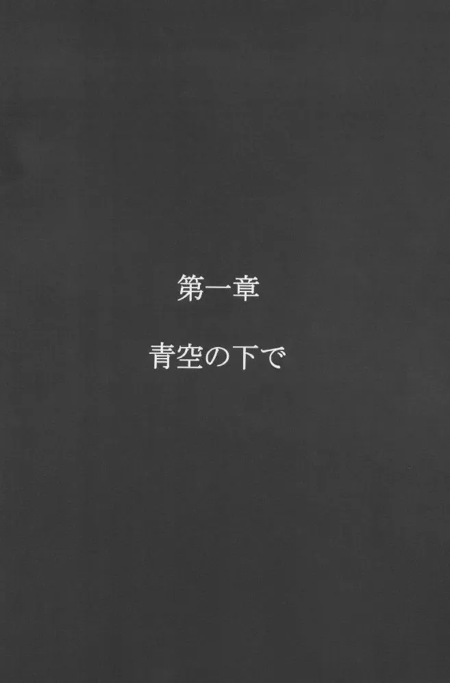 [Papipunyon] Skyward Fhentai - Page 3