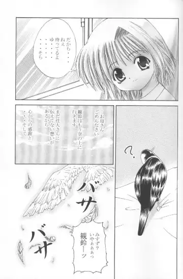 [Papipunyon] Skyward Fhentai - Page 32