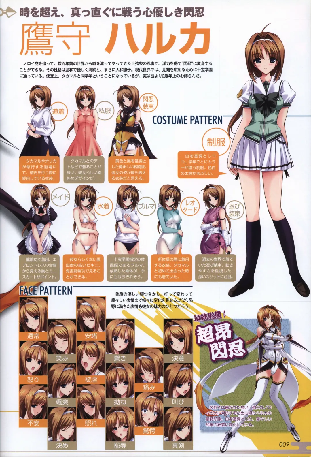 [Onigirikun] Choukou Sennin Haruka visual fanbook Fhentai - Page 11