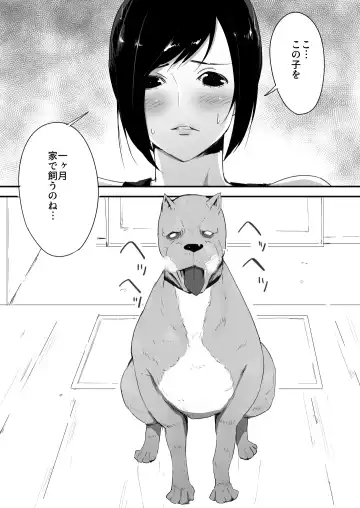 [Freya] Wagaya ni Inu ga Yattekita Fhentai - Page 4