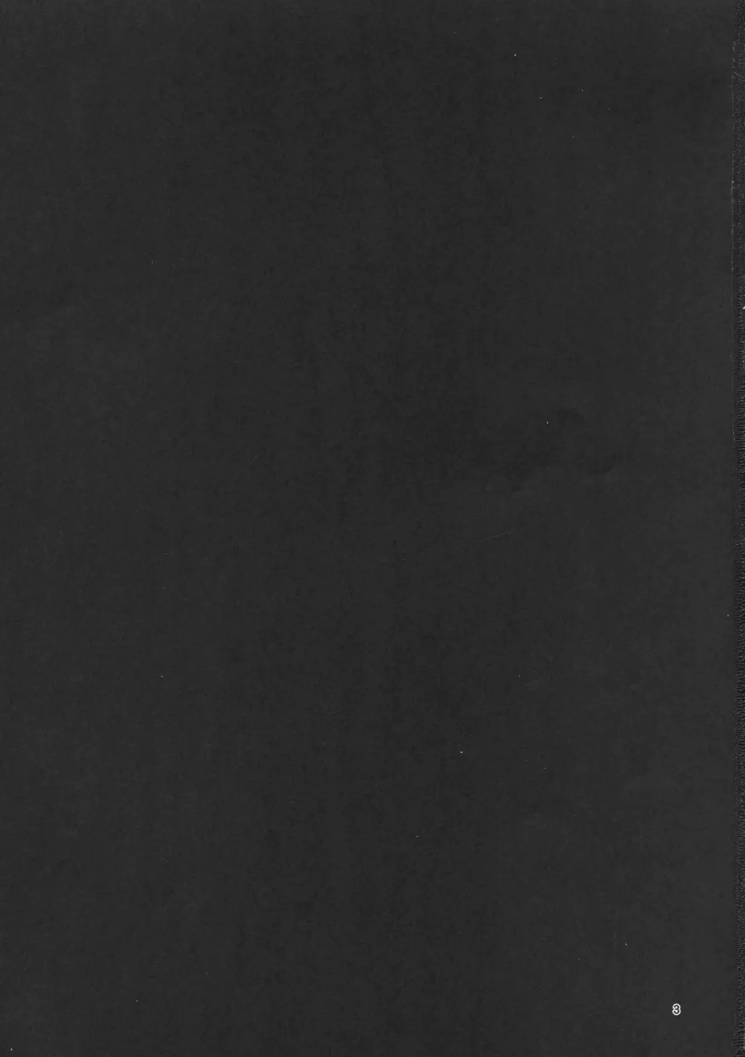 [Qblade] Chaldea Heaven Fhentai - Page 2