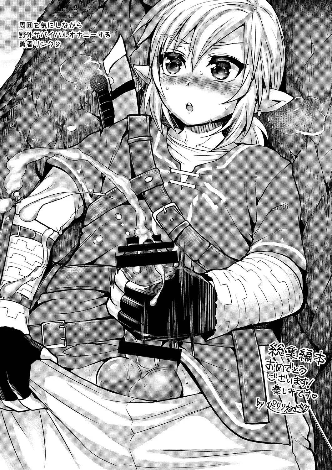 [Runrun] Futanari Zelda Soushuuhen Fhentai - Page 104