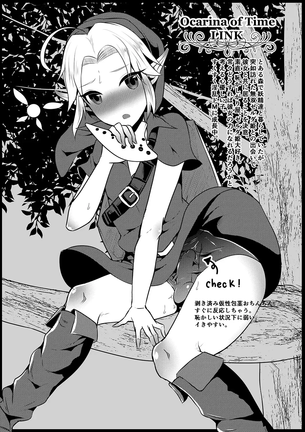 [Runrun] Futanari Zelda Soushuuhen Fhentai - Page 112