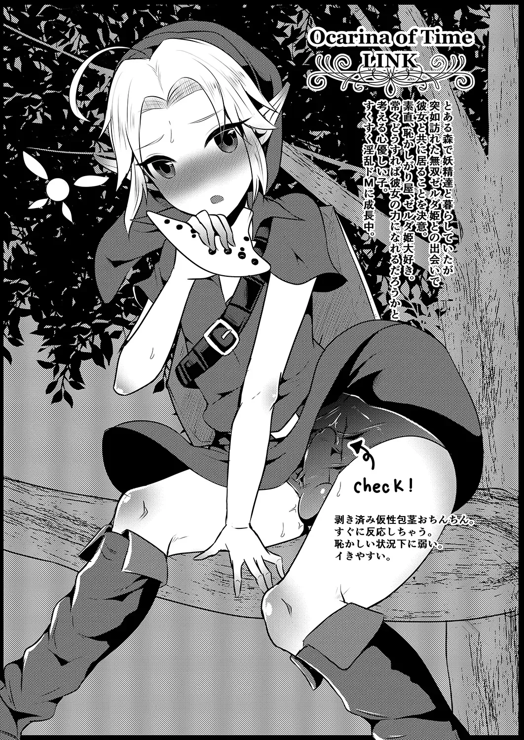 [Runrun] Futanari Zelda Soushuuhen Fhentai - Page 82