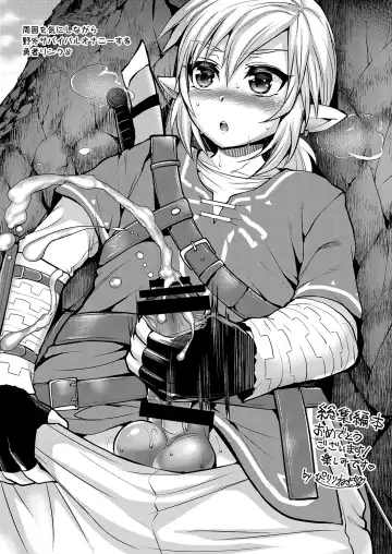 [Runrun] Futanari Zelda Soushuuhen Fhentai - Page 104