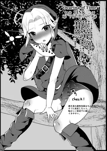 [Runrun] Futanari Zelda Soushuuhen Fhentai - Page 112