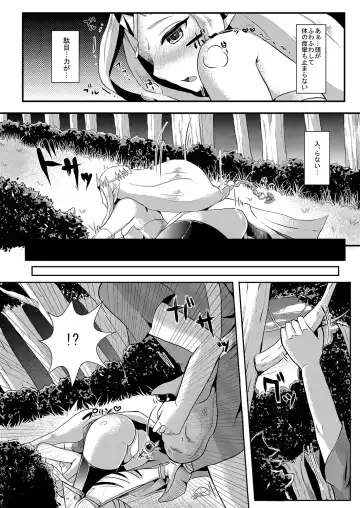 [Runrun] Futanari Zelda Soushuuhen Fhentai - Page 15