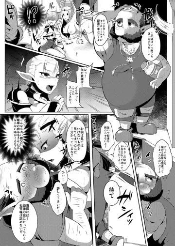 [Runrun] Futanari Zelda Soushuuhen Fhentai - Page 47