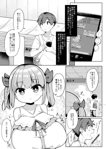 [Hirob816] Hisashiburi ni Atta Imouto no Musume ga Kyonyuu de Osumashiya-san ni Nattemashita. Fhentai - Page 3