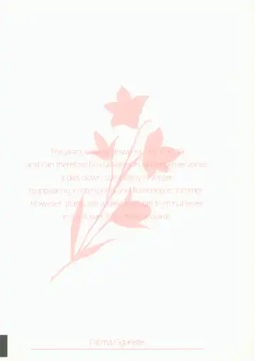 [Daki Makura] Onii-chan ga Genkinai kara SEX Shite Mita Fhentai - Page 26