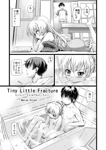 [Sugaishi] Tiny Little Fracture Fhentai - Page 2