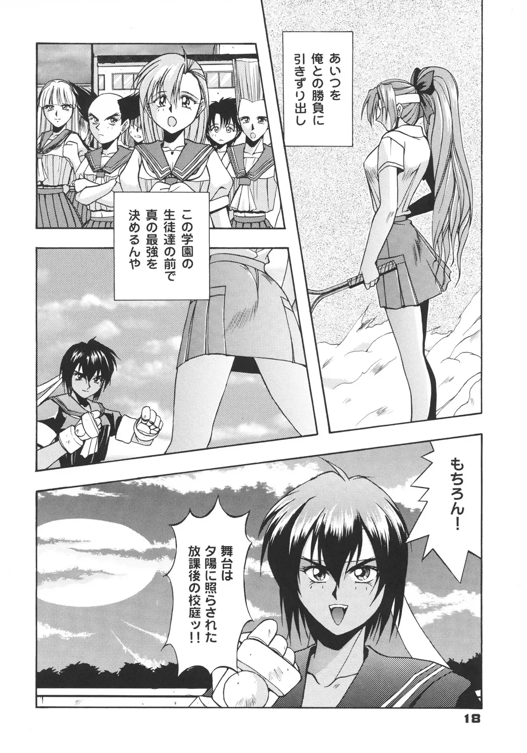 [Inoue Koutarou] Inoue Koutarou Kojin Sakuhin Shuu 95→99 Special Edition Fhentai - Page 17