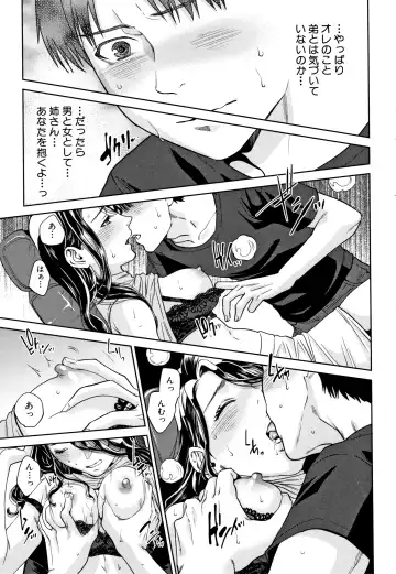 [Tohzai] Ane to Boku no Midarana Himitsu Fhentai - Page 46