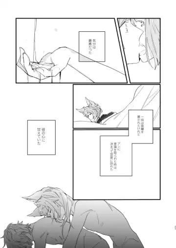 [Nagatani] Ad Astra Insania Fhentai - Page 21