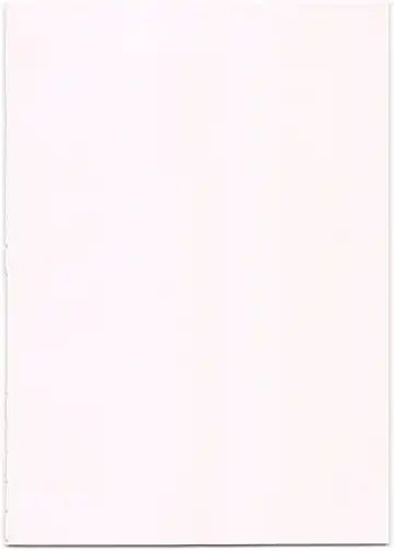 [Tokorot] Yancha Musume no Shitsukekata Fhentai - Page 4