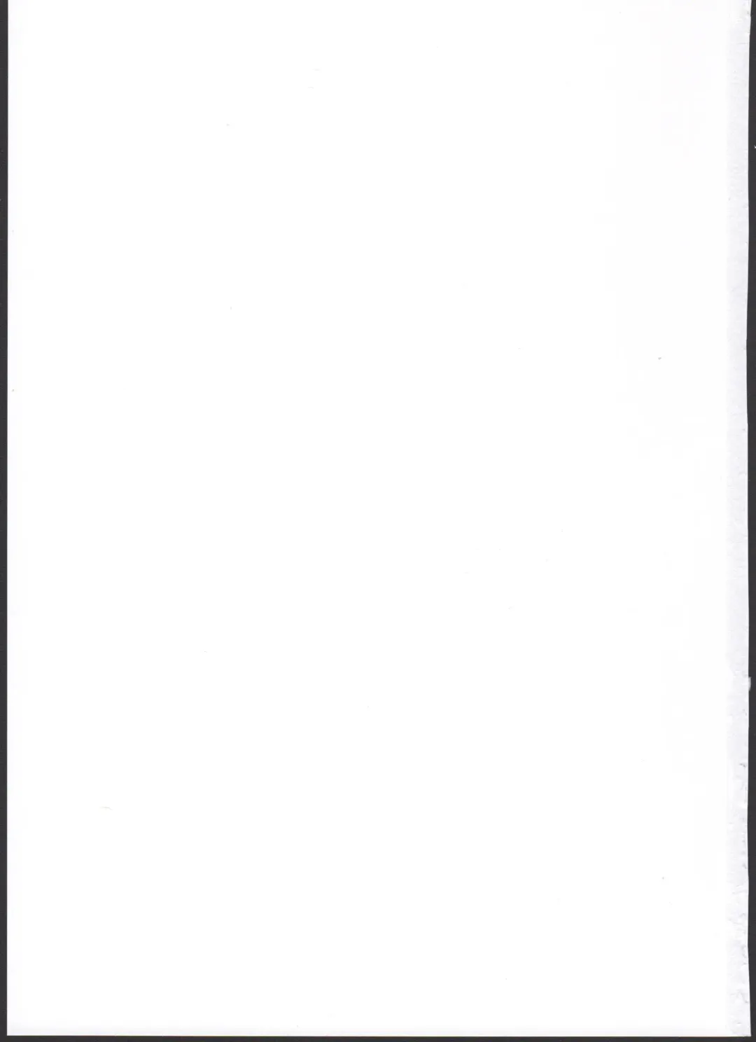 [Butajiman] Midara no Shiro Usagi Fhentai - Page 23